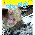 Dig, Pig!