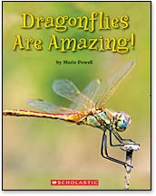 Dragonflies are Amazing!