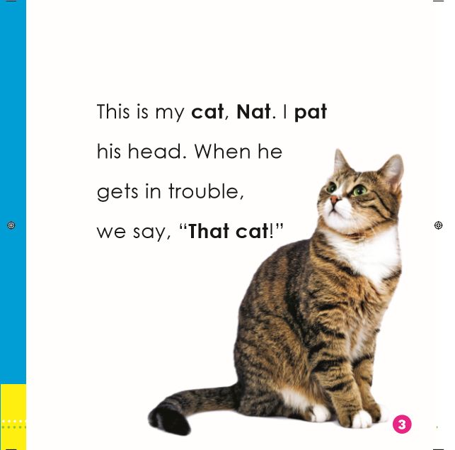 Sample Page from Word Families I book: That Cat!